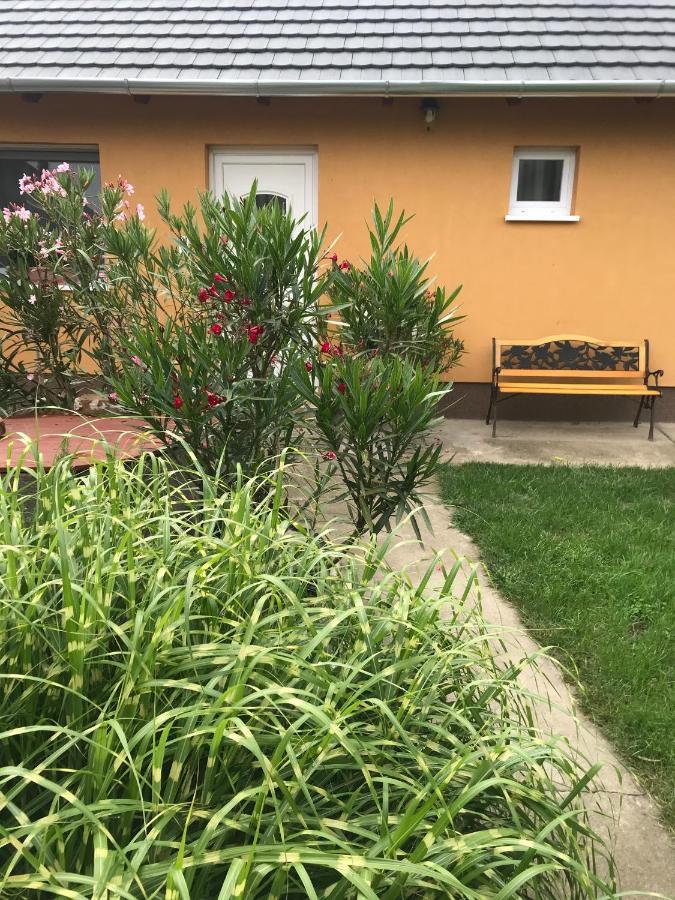 Dalia Apartment
