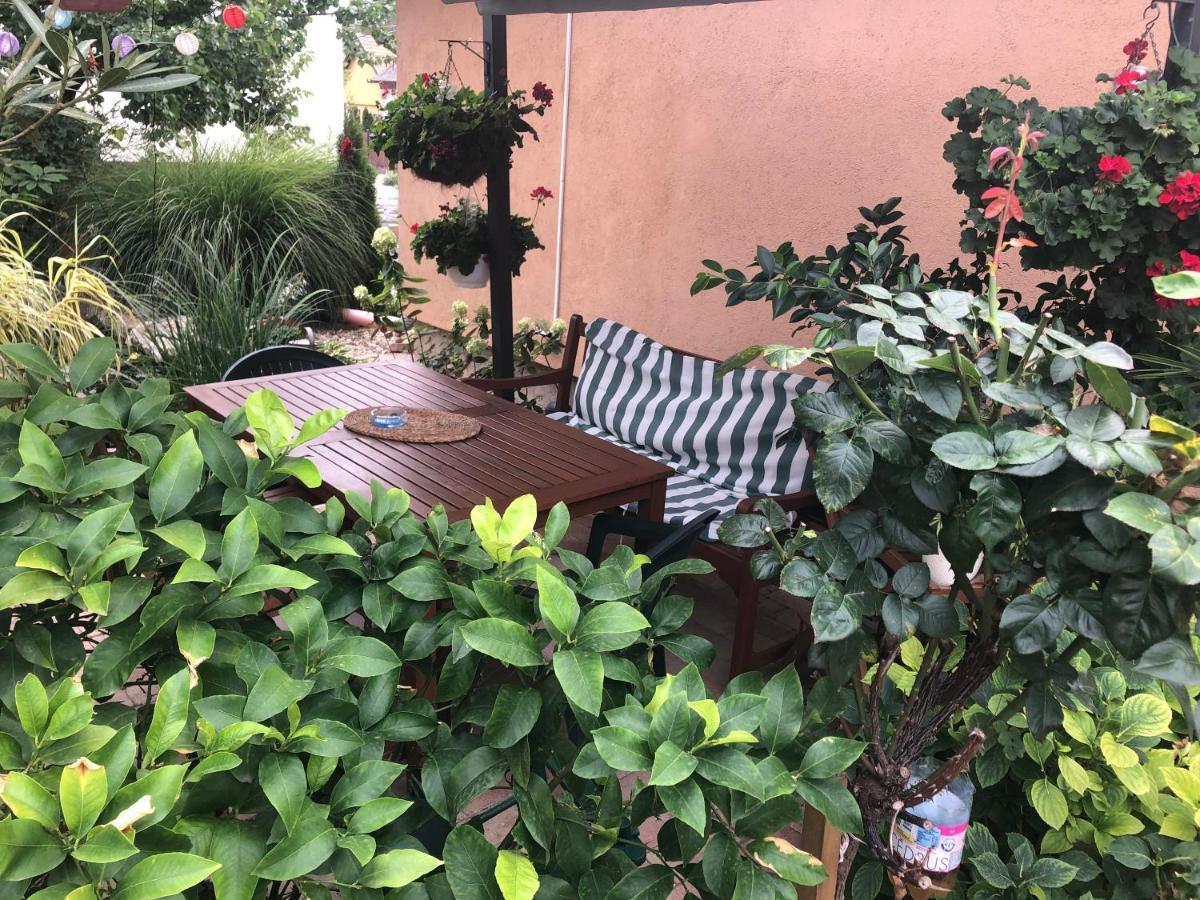 Dalia Apartment